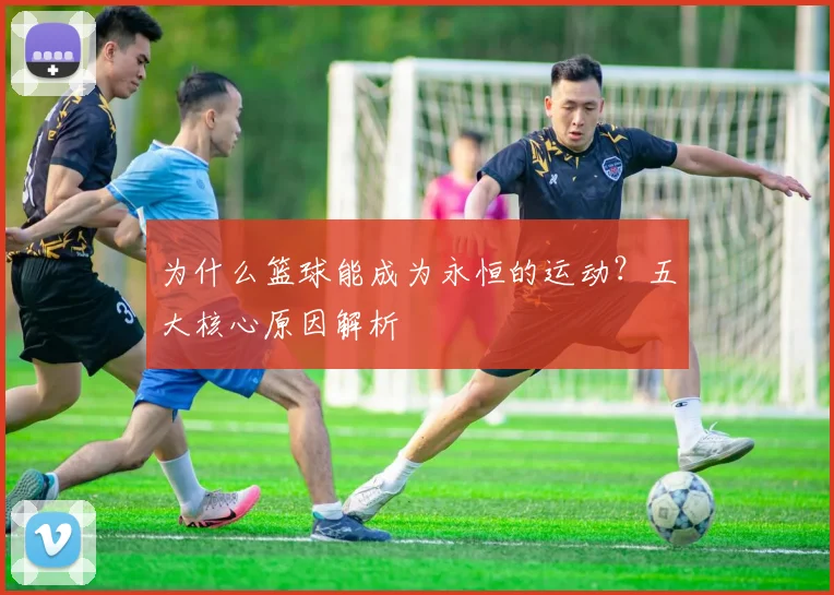 为什么篮球能成为永恒的运动？五大核心原因解析