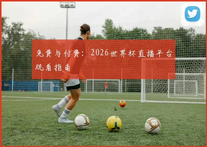 免费与付费：2026世界杯直播平台观看指南